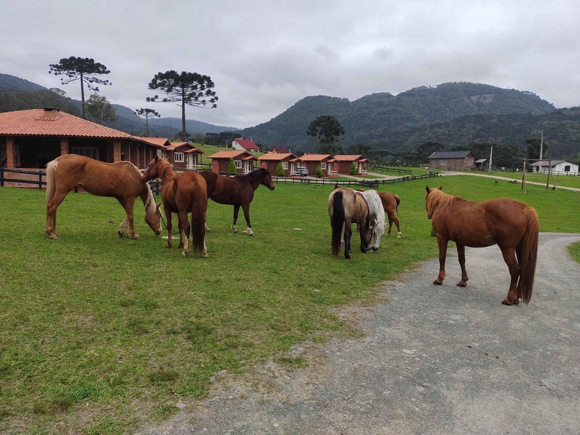 Sitio Rancho Crioulo Hotel Urubici Exterior photo